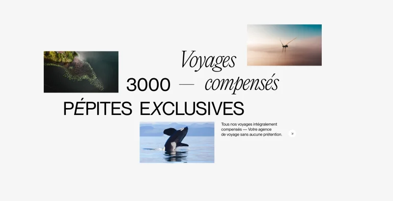 Site internet de luxe pour des voyages sur-mesure organisé par continents insolites