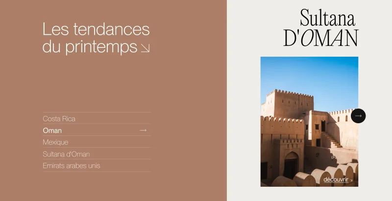 Design du site premium de voyages pour continents insolites réalisé par notre agence de webdesign à Bruxelles