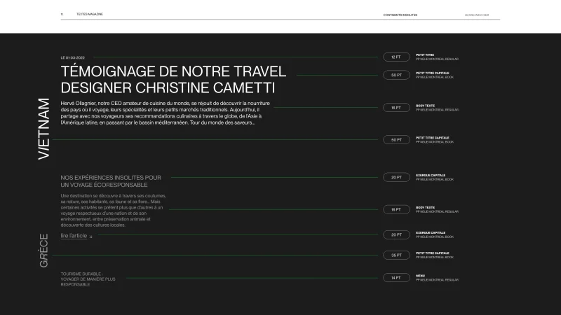 Guidelines web réalisé notre équipe de designers pour l'identité visuelle digitale de continents insolites