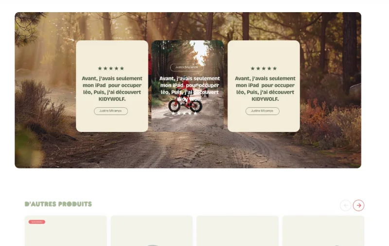 Site E-commerce premium réalisé par notre agence spécialisé en UI/UX design à Bruxelles pour Kidywolf
