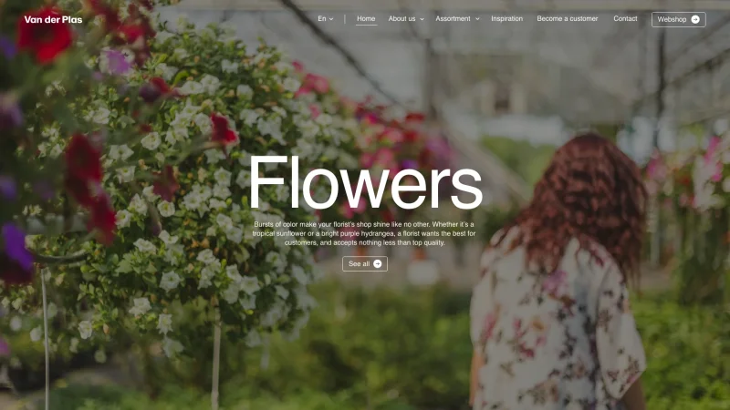 Custom webdesign by our team of ui/ux designers for Van Der Plas
