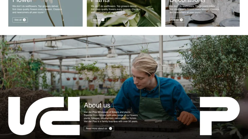 Focus on a section of the homepage created for Van Der Plas