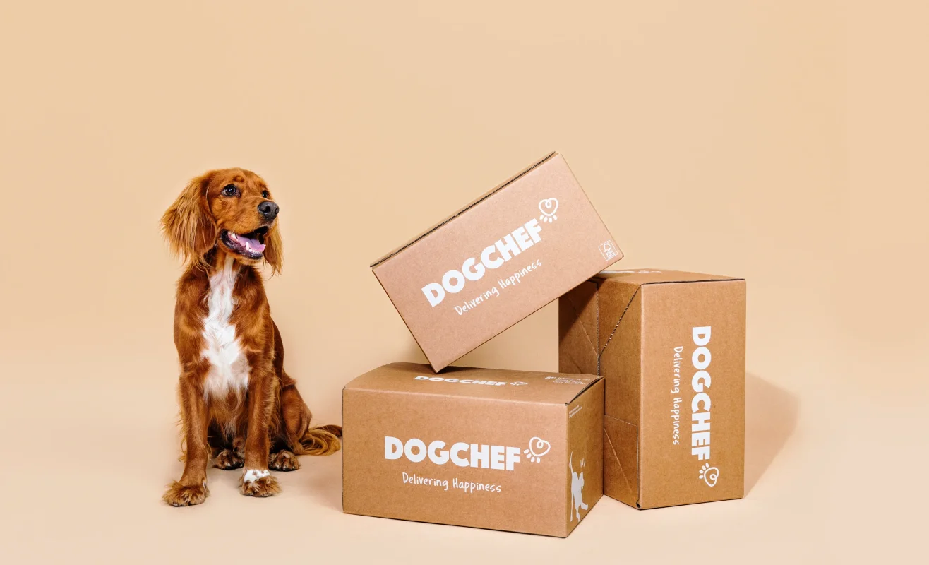 Marley, un cocker roux, content d'avoir reçu ses croquettes et boudins Dogchef